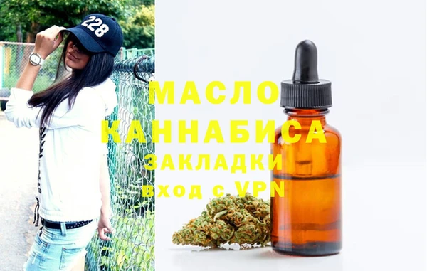 ECSTASY Пересвет
