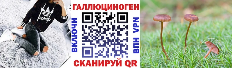 Галлюциногенные грибы Cubensis хочу наркоту это какой сайт Мензелинск